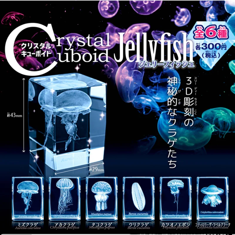 Aquarium Fish Keeping - اليابان Gashapon قنديل البحر ثلاثية الأبعاد