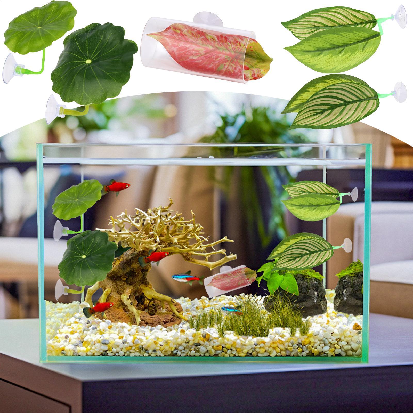 Aquarium Fish Betta - بيتا أرجوحة السمك 5 قطع قابل