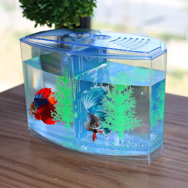 Aquarium Fish Keeping - لعبة جديدة ومضحكة، صندوق عزل لخزان