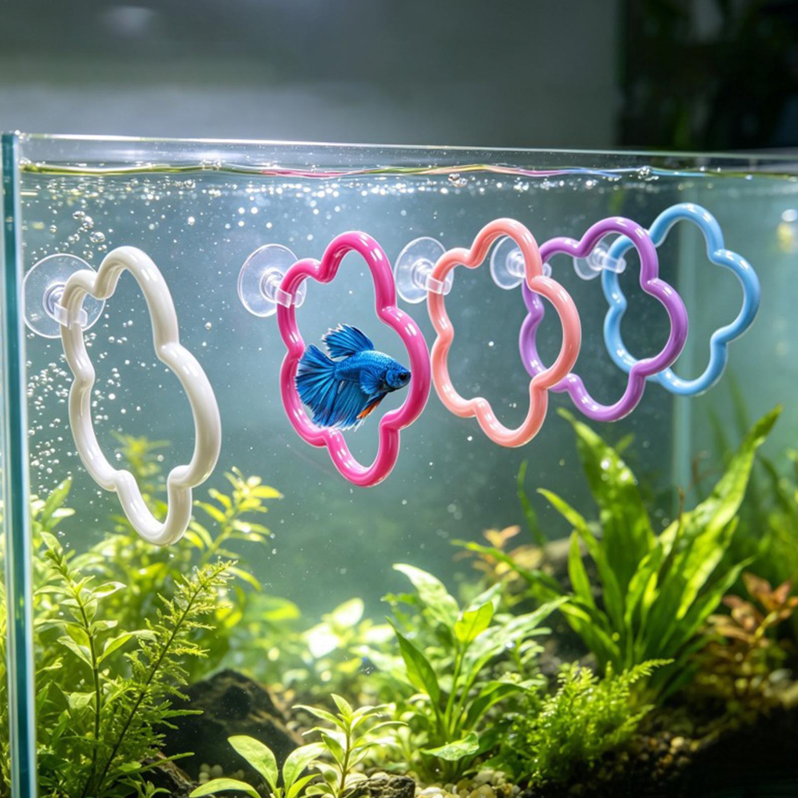 Aquarium Fish Betta - ألعاب سمك البيتا 5 قطع ملونة