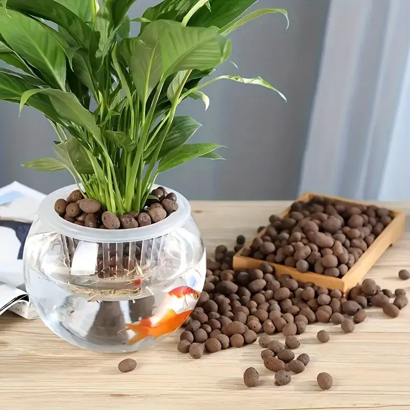 حبيبات تيراكوتا خفيفة الوزن وج - مراجعة Aquarium Decor وسعره