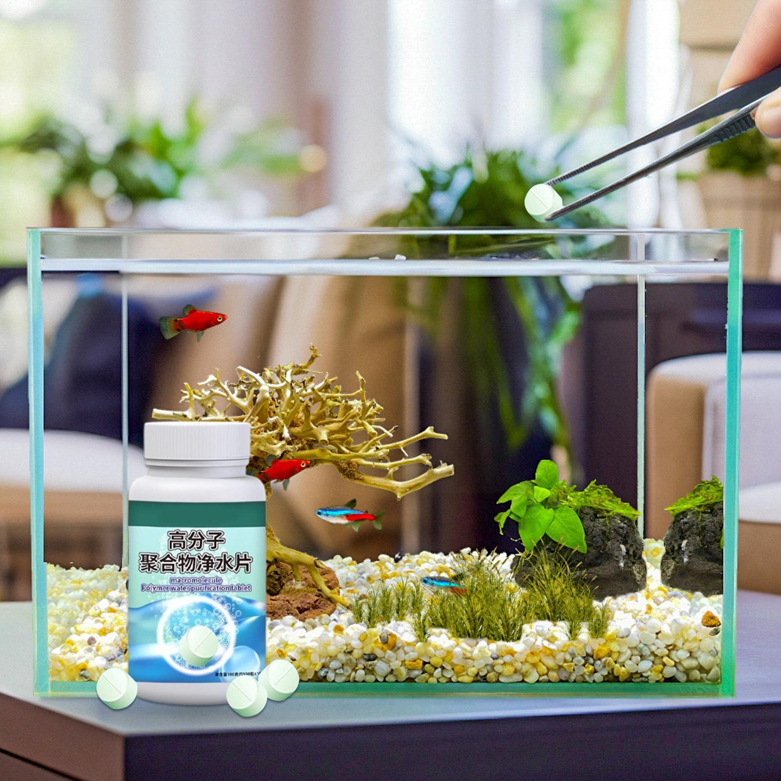 أقراص تنظيف المياه وإزالة الطح - مراجعة Fish Aquarium Home وسعره