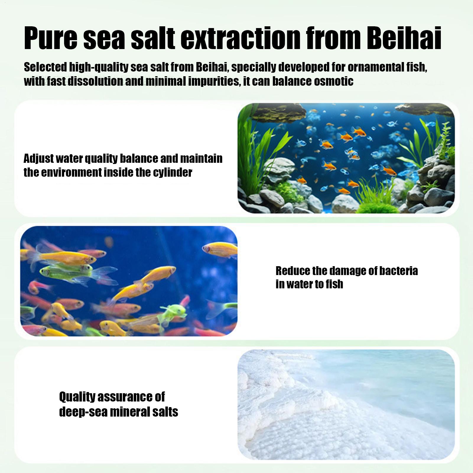 أقراص تنظيف المياه وإزالة الطح - مراجعة Fish Aquarium Home وسعره