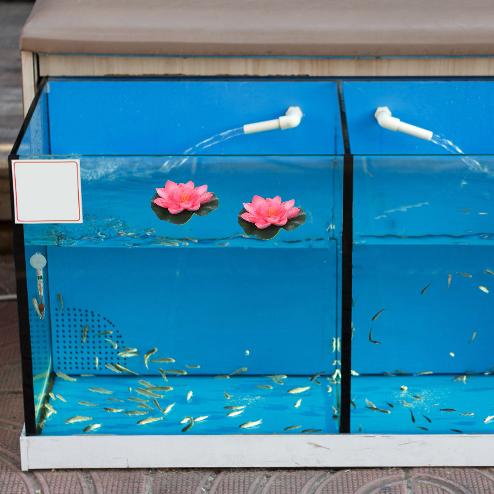 12 قطعة من الزهور المائية الاص - مراجعة Aquarium Decor وسعره