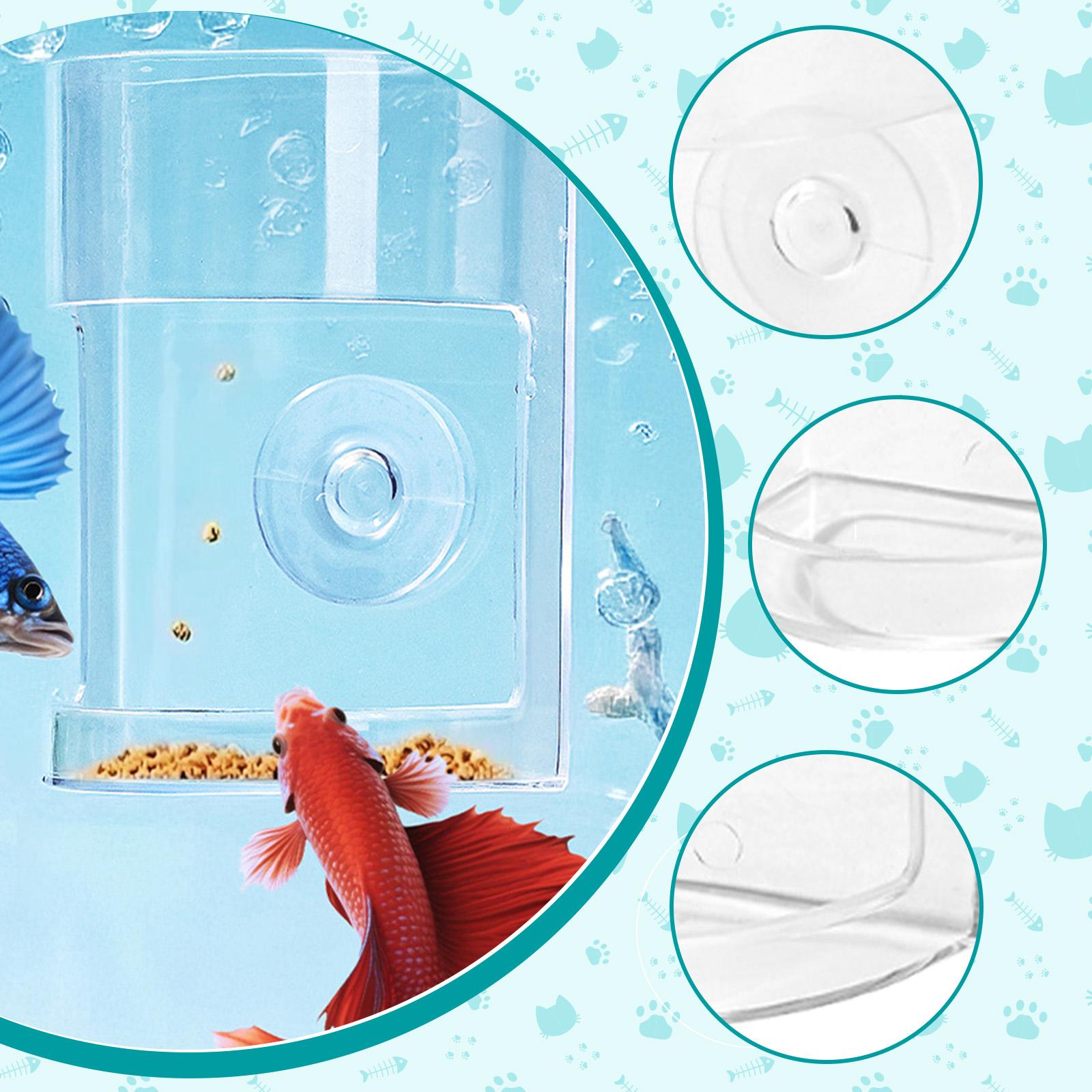 حلقة تغذية عائمة شفافة من البو - مراجعة Aquarium Fish Keeping وسعره