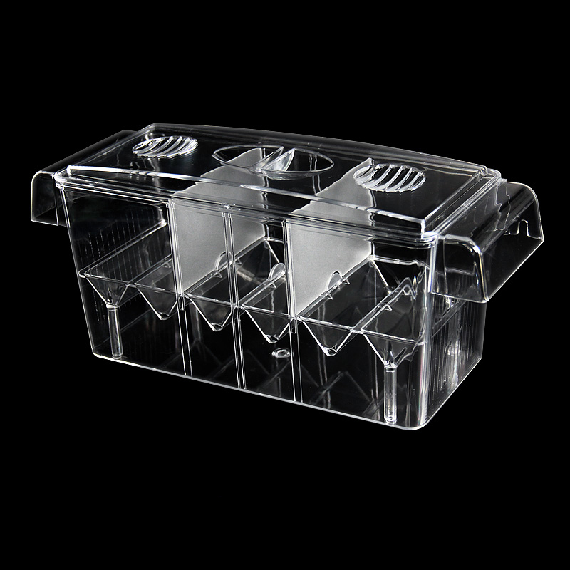 واضح حوض للأسماك صندوق عزل متع - مراجعة Betta Fish Tank وسعره