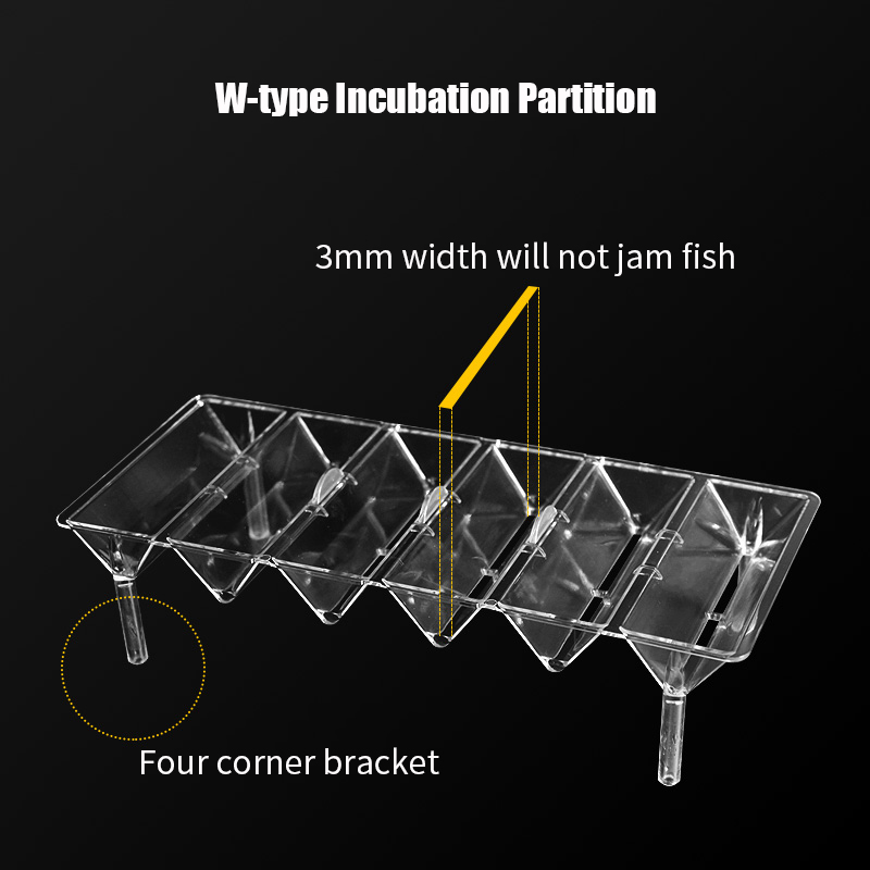 واضح حوض للأسماك صندوق عزل متع - مراجعة Betta Fish Tank وسعره