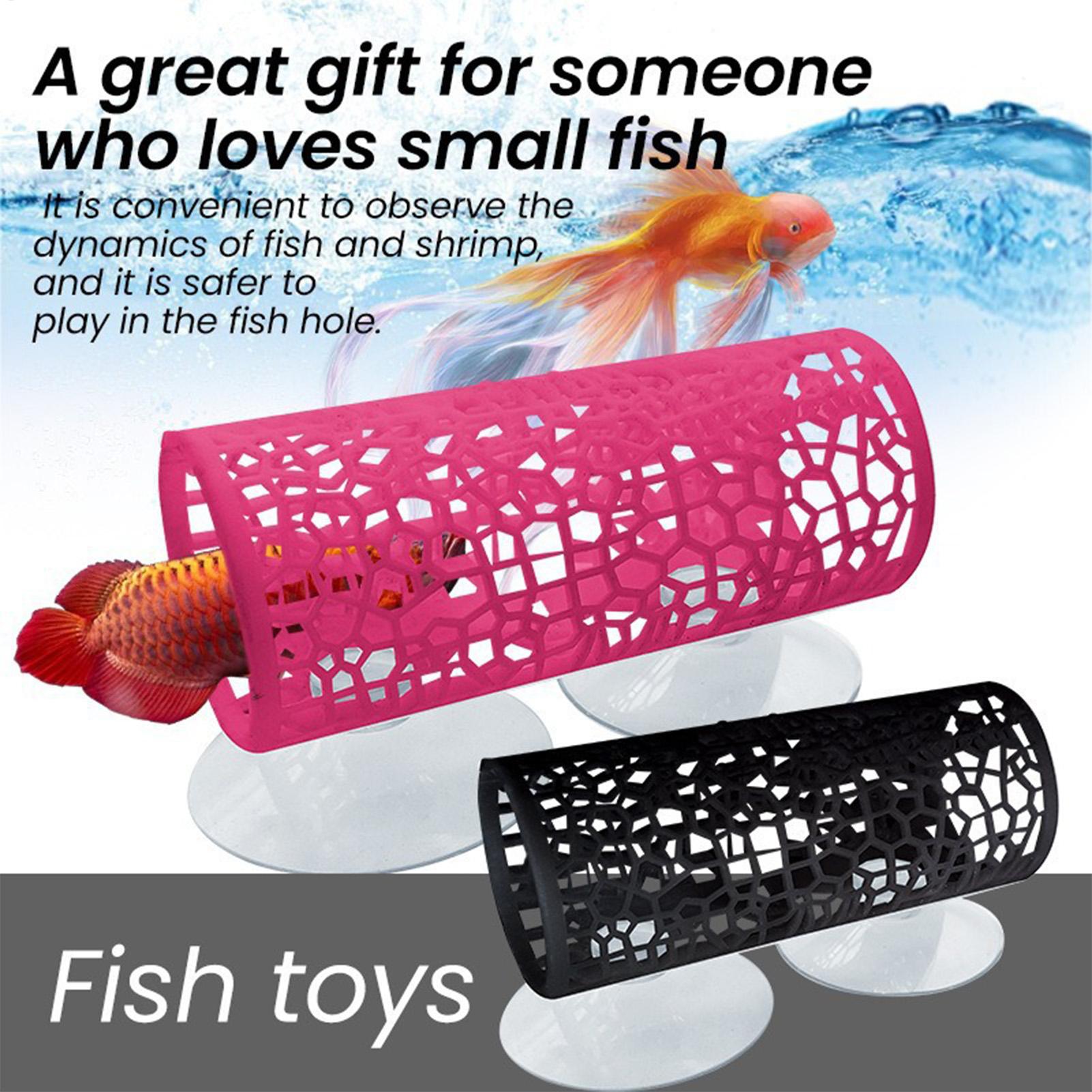مأوى استراحة لأسماك البيتا، زي - مراجعة Betta Fish Tank وسعره