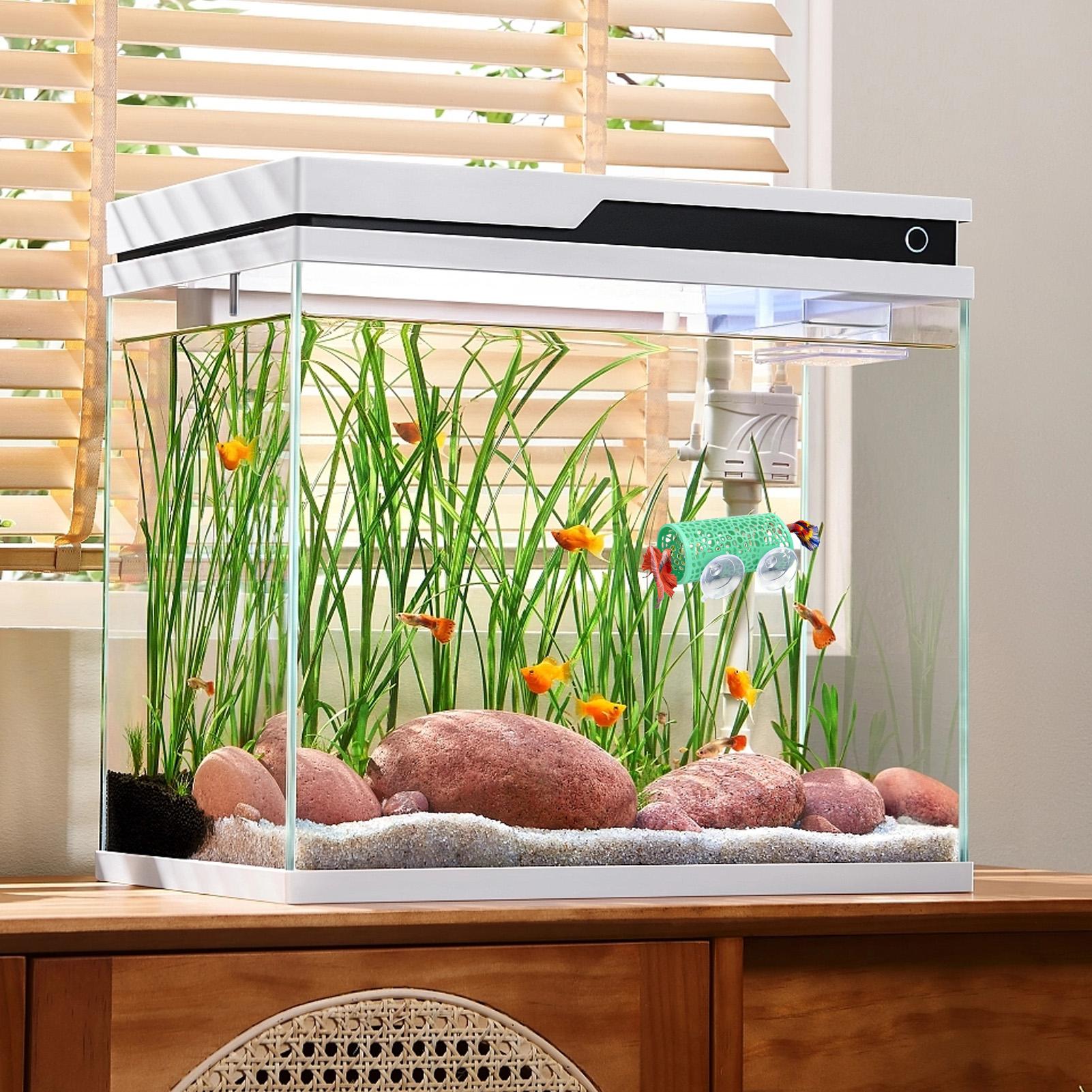 مأوى استراحة لأسماك البيتا، زي - مراجعة Betta Fish Tank وسعره