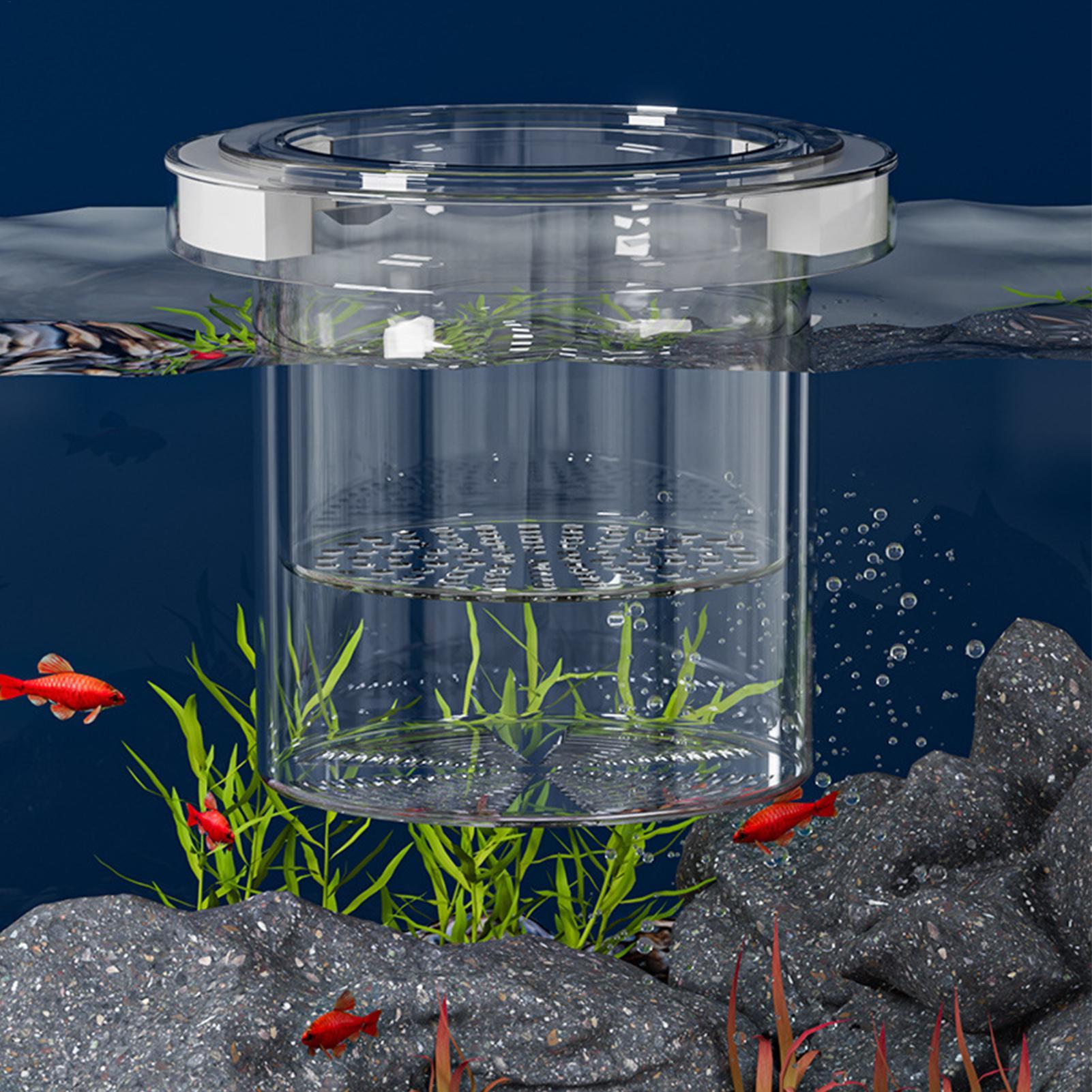 صندوق عزل لتربية الأسماك العائ - مراجعة Betta Fish Tank وسعره