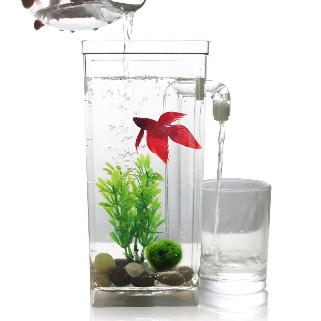 كسول الحرة تغيير المياه سطح ال - مراجعة Betta Fish Tank وسعره