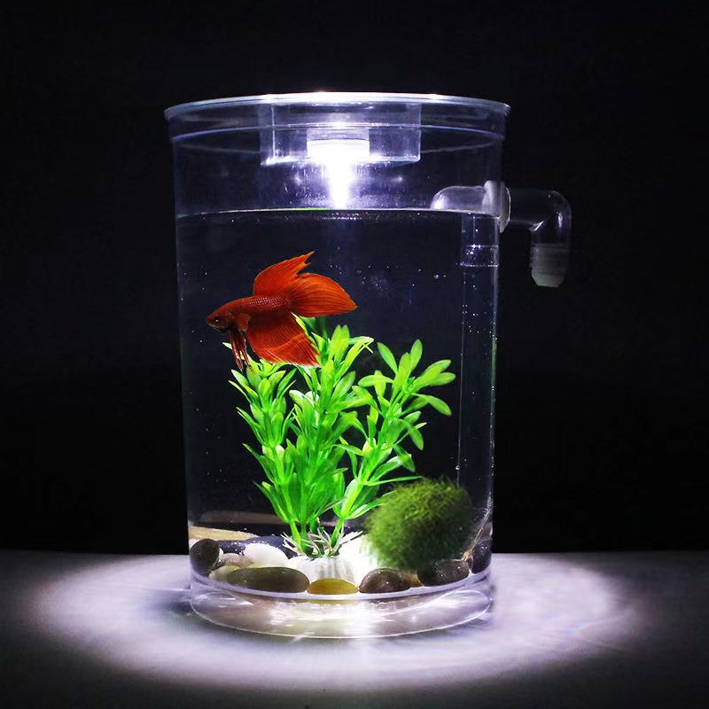 كسول الحرة تغيير المياه سطح ال - مراجعة Betta Fish Tank وسعره