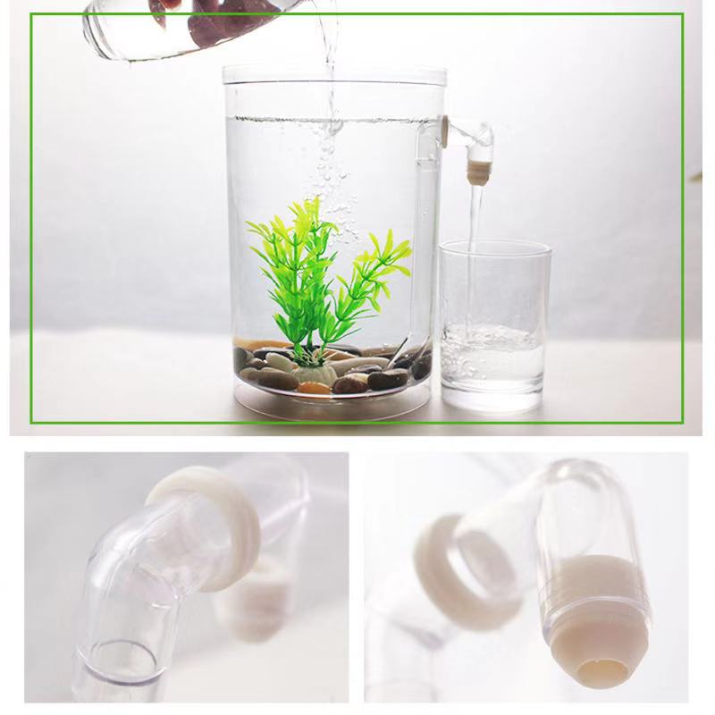 كسول الحرة تغيير المياه سطح ال - مراجعة Betta Fish Tank وسعره
