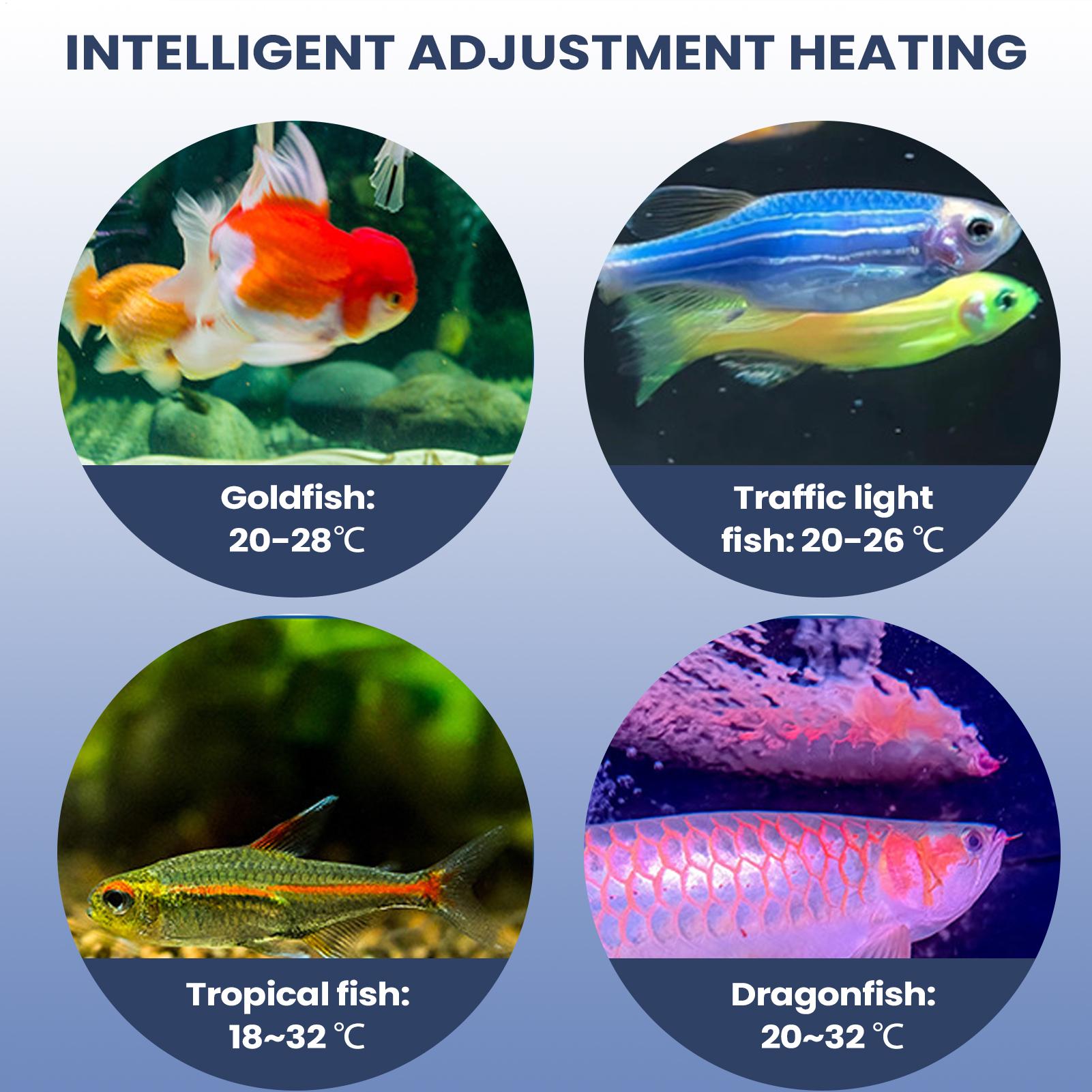 حوض السمك مضخة هواء المحمولة ح - مراجعة Aquarium Pump وسعره