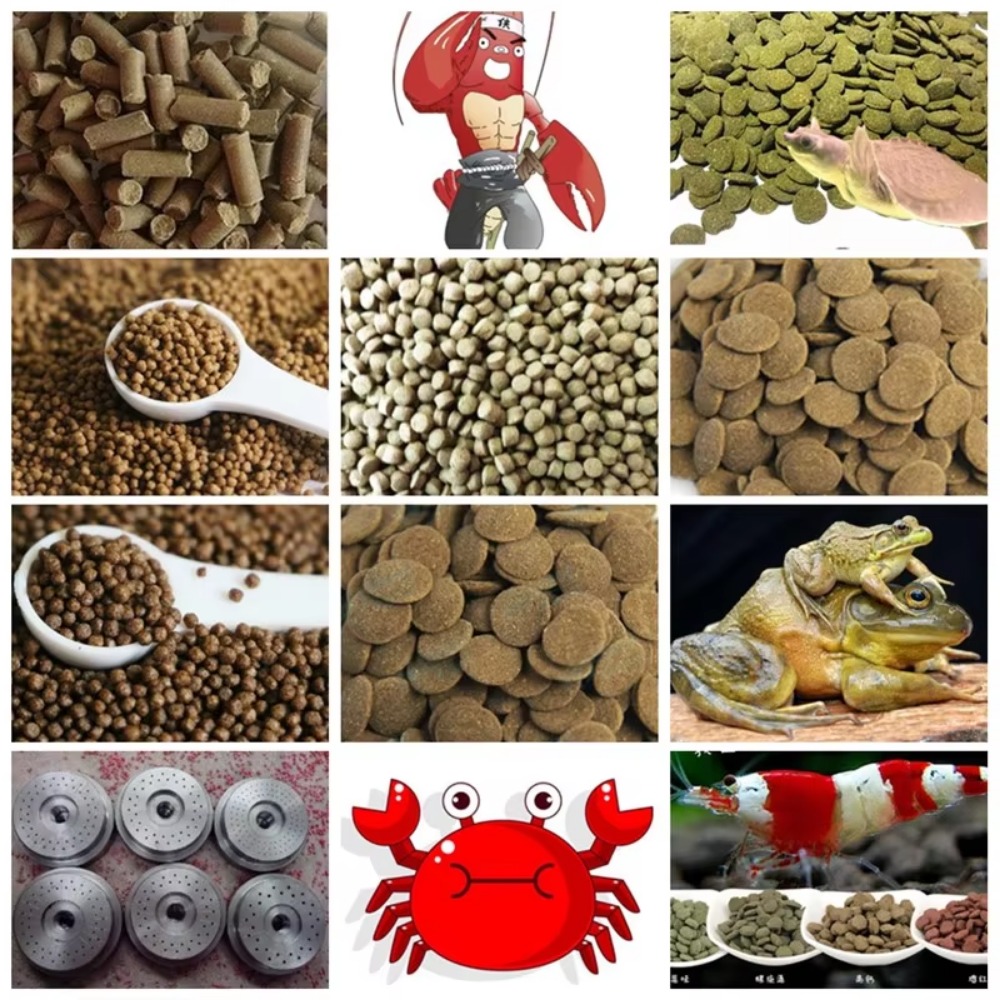 آلة تصنيع أعلاف الأسماك العائم - مراجعة Fish Food وسعره