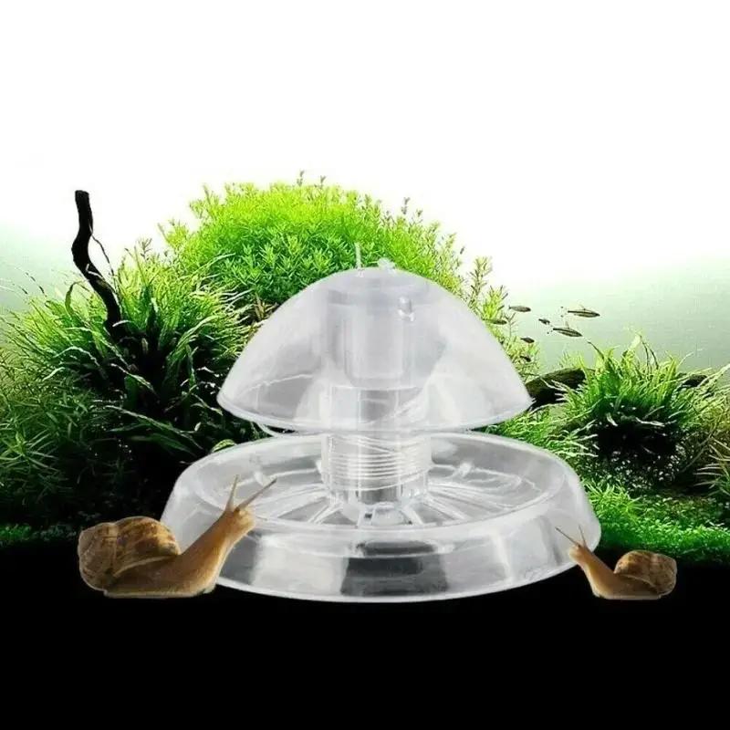 2026 جديد 6/8 سم صندوق مصيدة ح - مراجعة Fish Aquarium Home وسعره