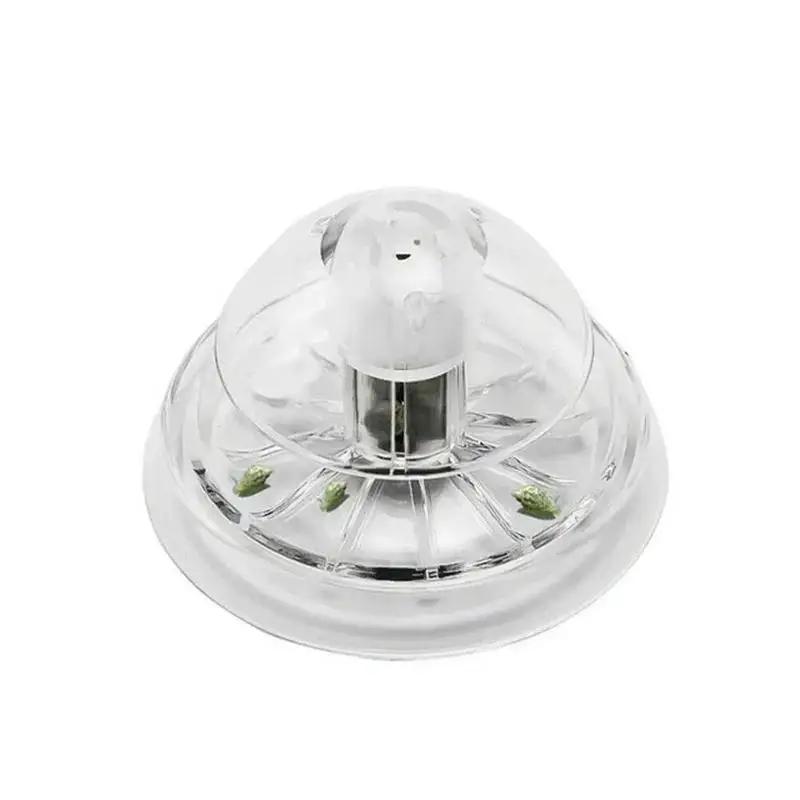 2026 جديد 6/8 سم صندوق مصيدة ح - مراجعة Fish Aquarium Home وسعره