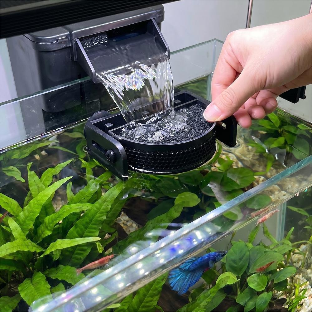    حاجز فلتر حوض السمك الممتا - مراجعة Betta Fish Tank وسعره