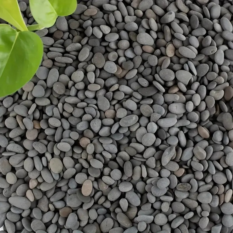 20 قطعة من صخور النهر الطبيعي  - مراجعة Fish Tank Gravel وسعره