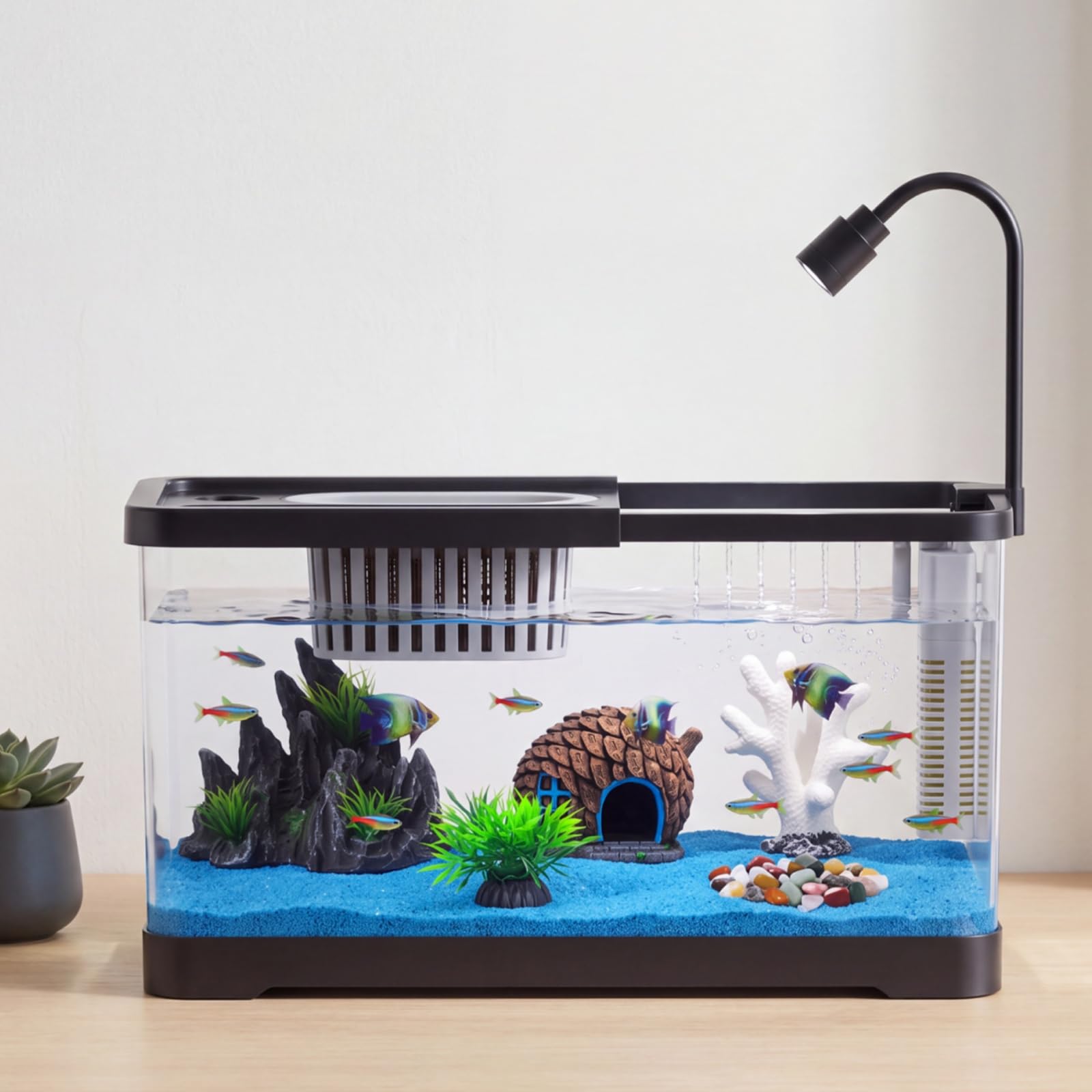 مجموعة بدء تربية الأسماك مع فل - مراجعة Betta Fish Tank وسعره