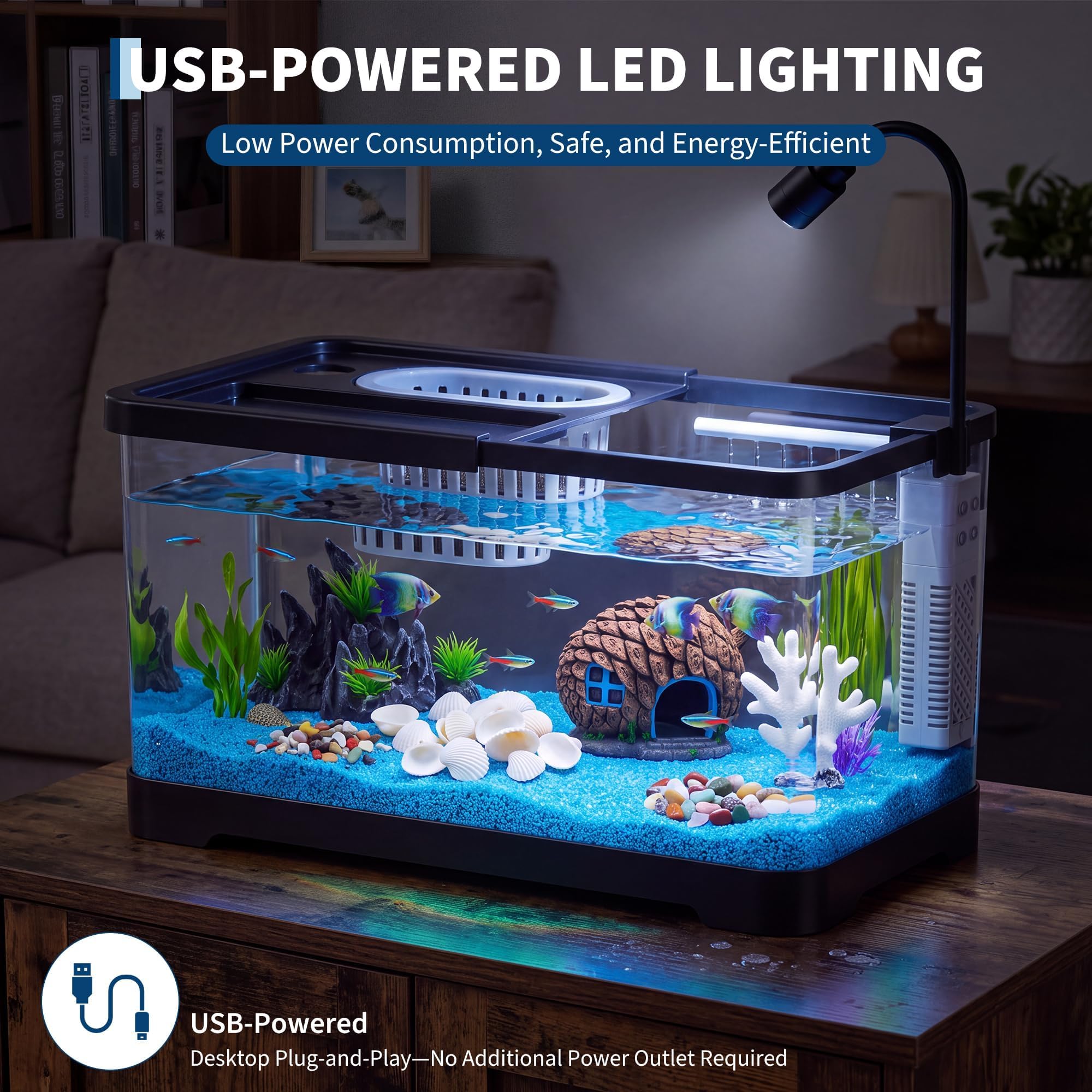 مجموعة بدء تربية الأسماك مع فل - مراجعة Betta Fish Tank وسعره