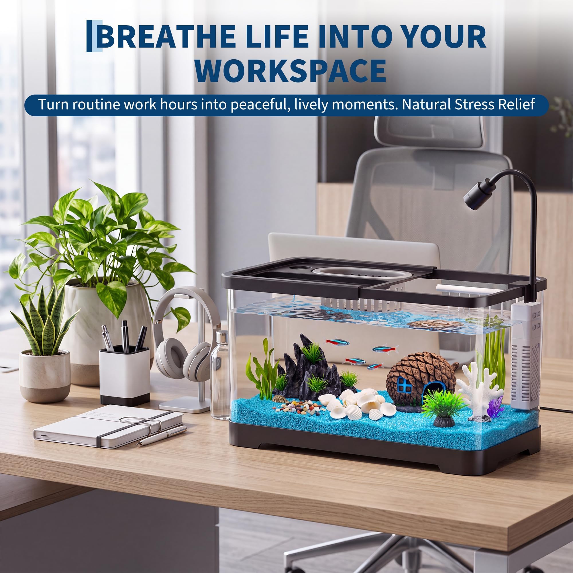 مجموعة بدء تربية الأسماك مع فل - مراجعة Betta Fish Tank وسعره