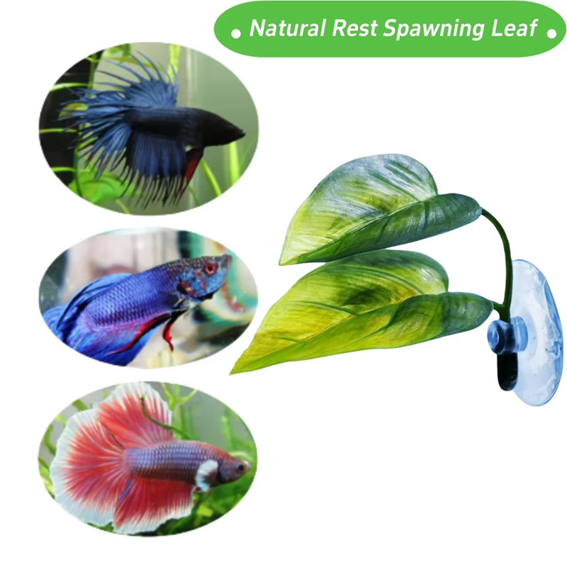 مستلزمات حوض السمك، زينة، نبات - مراجعة Betta Fish Tank وسعره