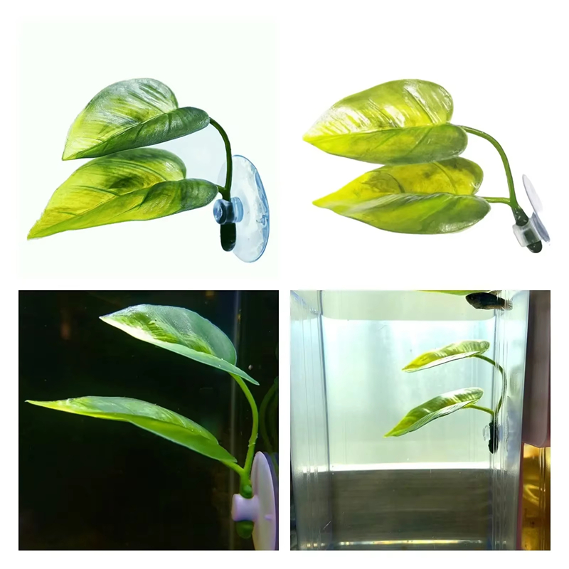 مستلزمات حوض السمك، زينة، نبات - مراجعة Betta Fish Tank وسعره