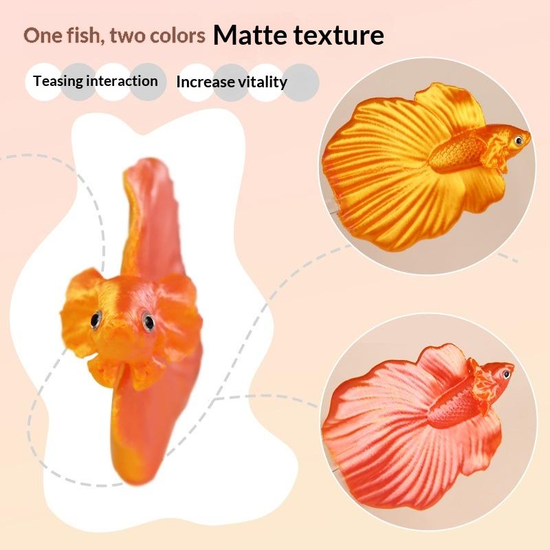 عصا تدريب ملونة للأسماك البيتا - مراجعة Aquarium Fish Betta وسعره