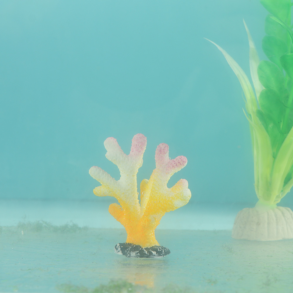 ديكور حوض أسماك المرجان الاصطن - مراجعة Fish Tank Gravel وسعره