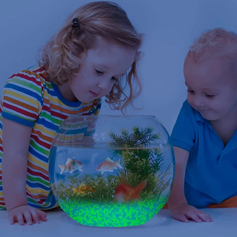 حصى رمال مضيئة في الظلام ، من  - مراجعة Fish Aquarium Home وسعره