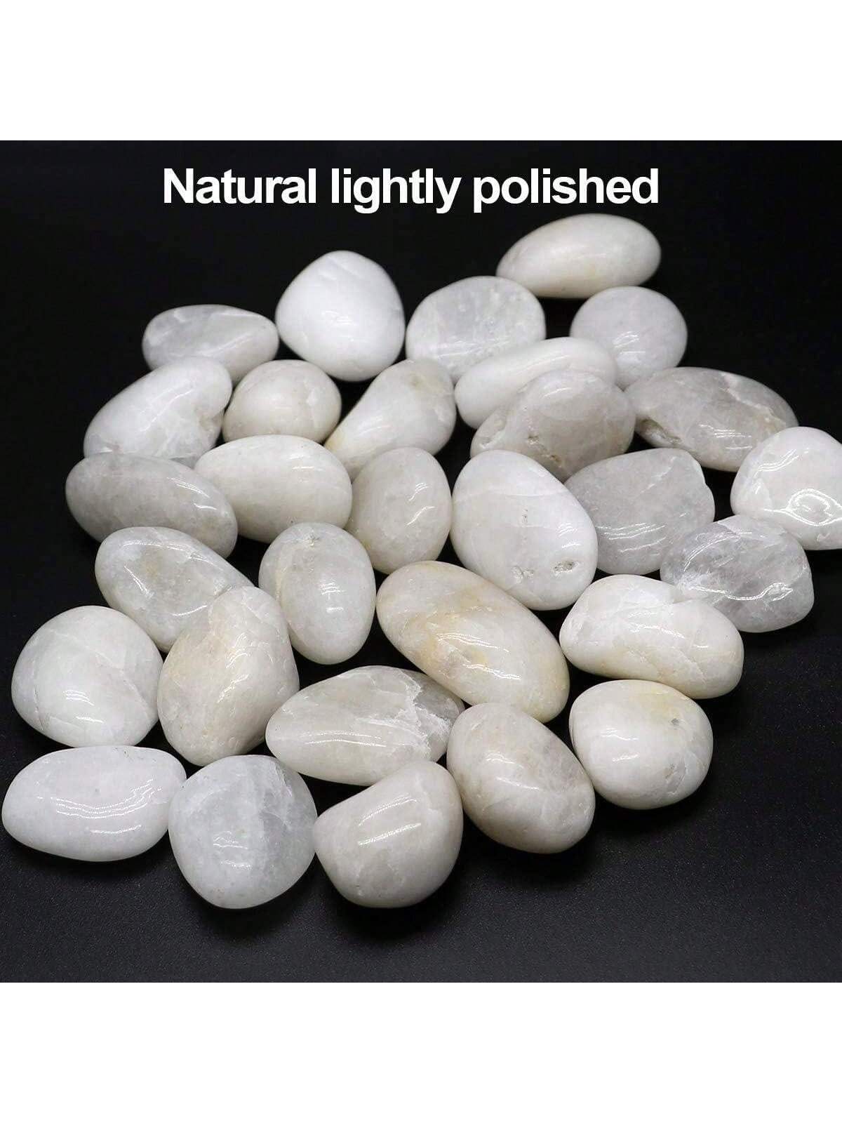 نهر الصخور الزخرفية الحصى البي - مراجعة Fish Tank Gravel وسعره