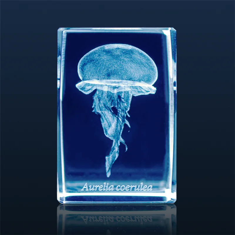 اليابان Gashapon قنديل البحر ث - مراجعة Aquarium Fish Keeping وسعره