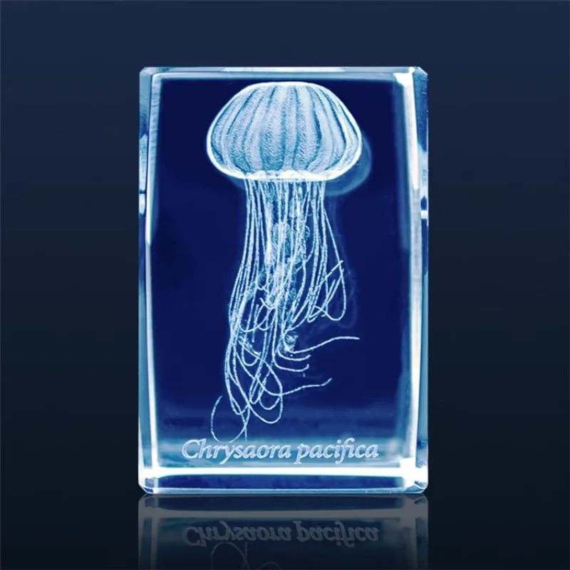 اليابان Gashapon قنديل البحر ث - مراجعة Aquarium Fish Keeping وسعره