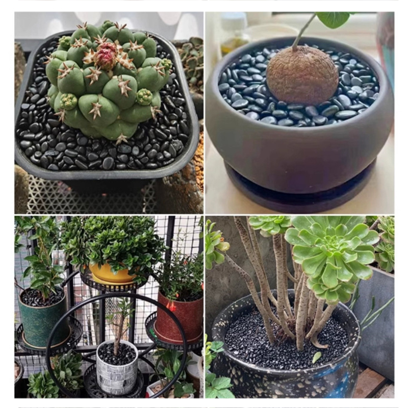 أحجار نهرية مصقولة باللونين ال - مراجعة Fish Tank Gravel وسعره