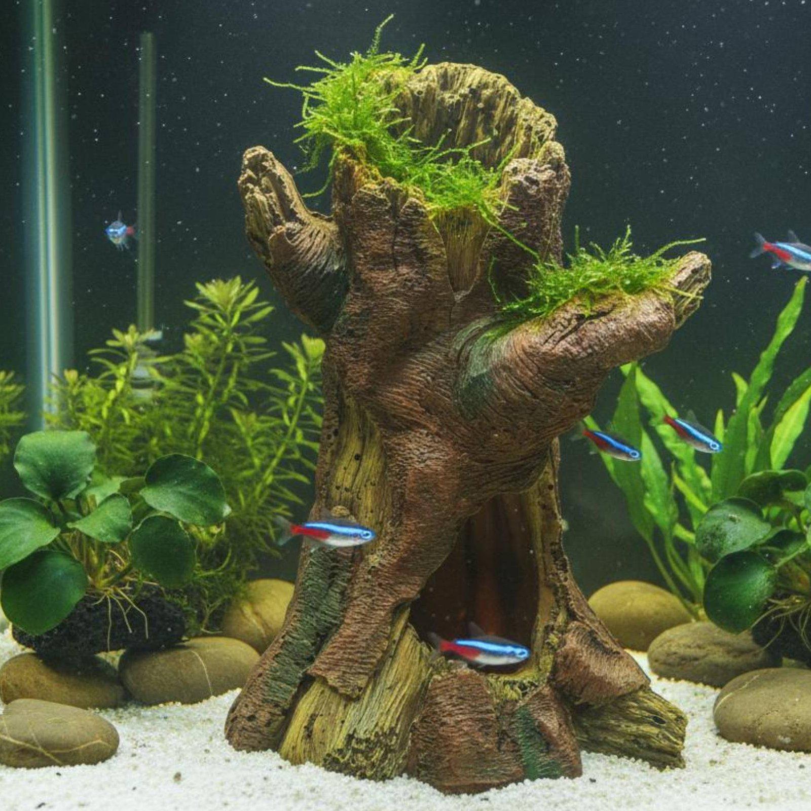 ديكور حوض السمك، زينة لتنسيق ا - مراجعة Aquarium Fish Tank وسعره