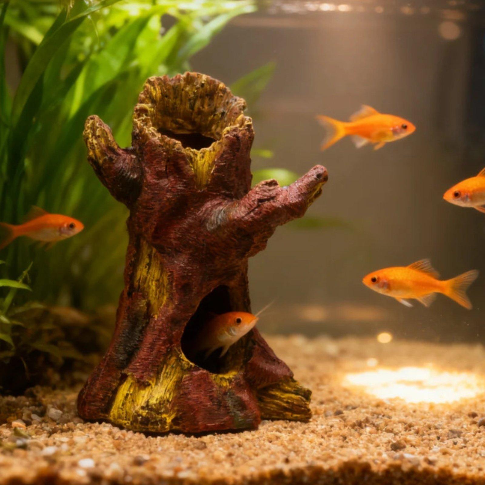 ديكور حوض السمك، زينة لتنسيق ا - مراجعة Aquarium Fish Tank وسعره