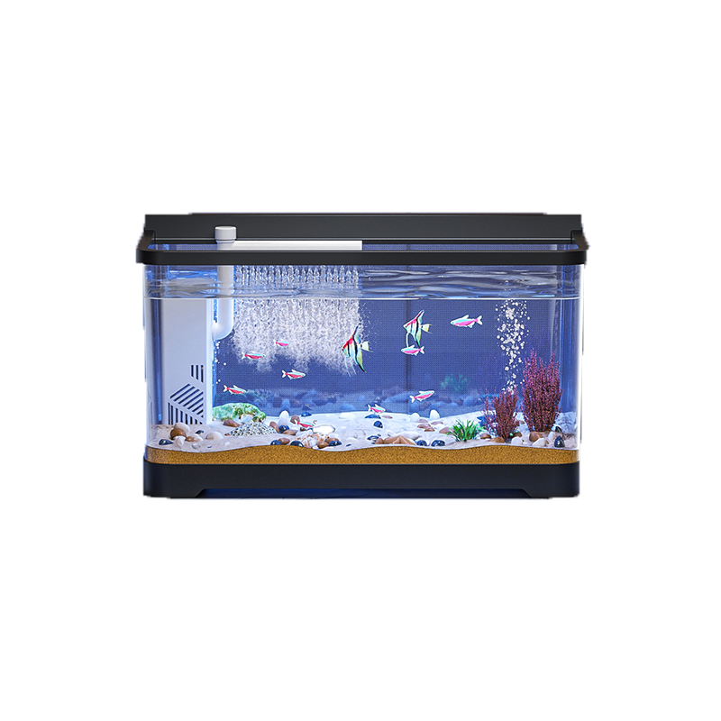 خزان أسماك صغير مجموعة بداية ح - مراجعة Betta Fish Tank وسعره