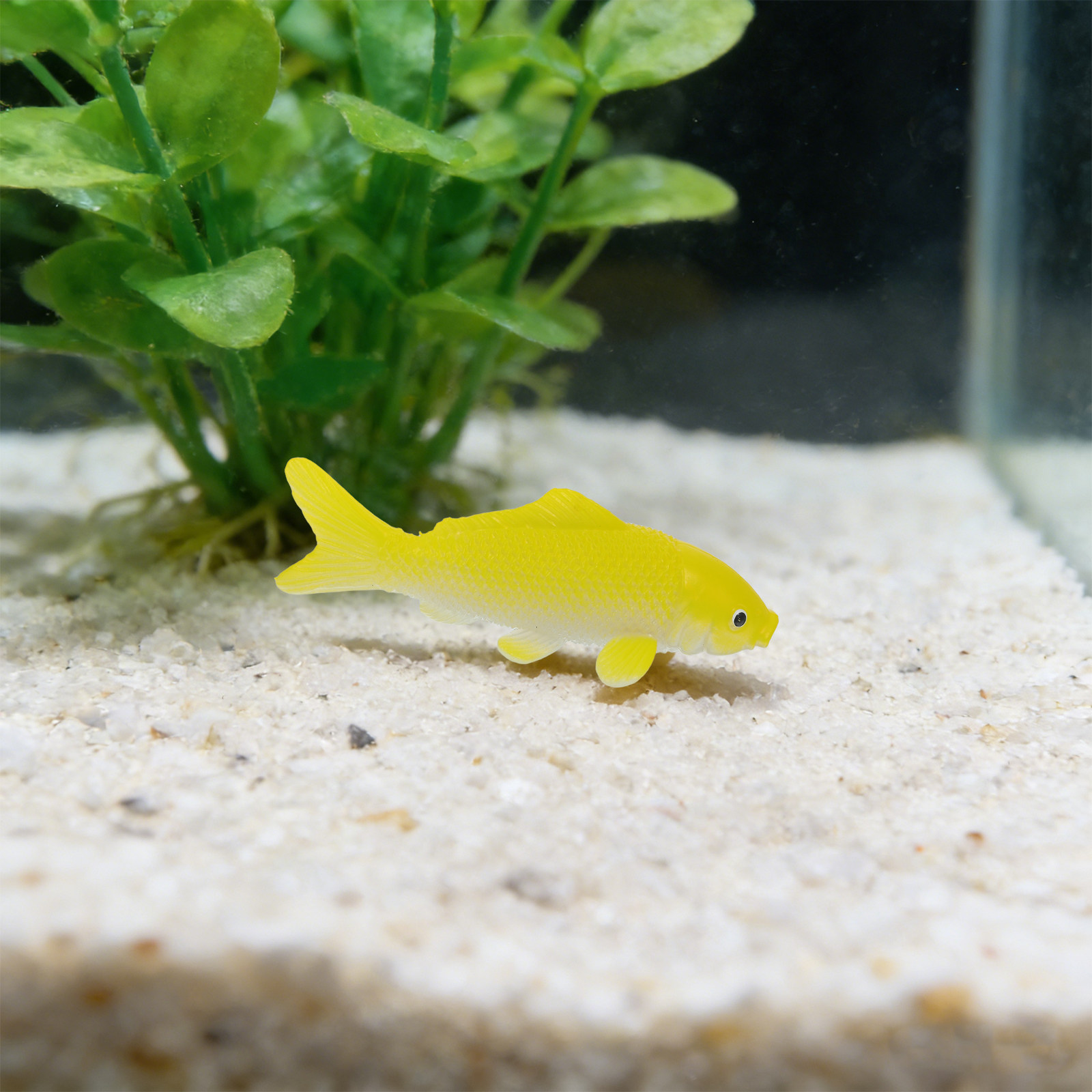 3 قطع من ألعاب الأسماك الحرفية - مراجعة Fish Aquarium Home وسعره