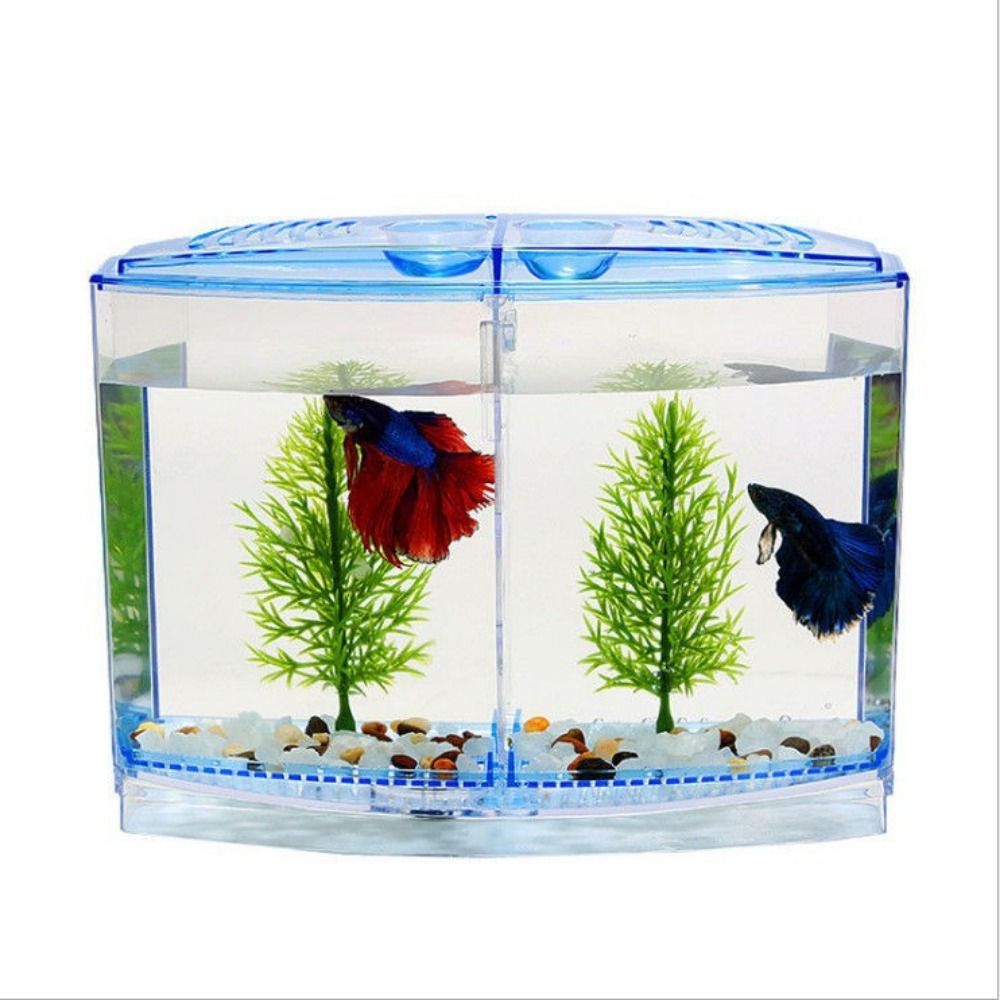 حوض أسماك بيتا شفاف ، حوض أسما - مراجعة Betta Fish Tank وسعره