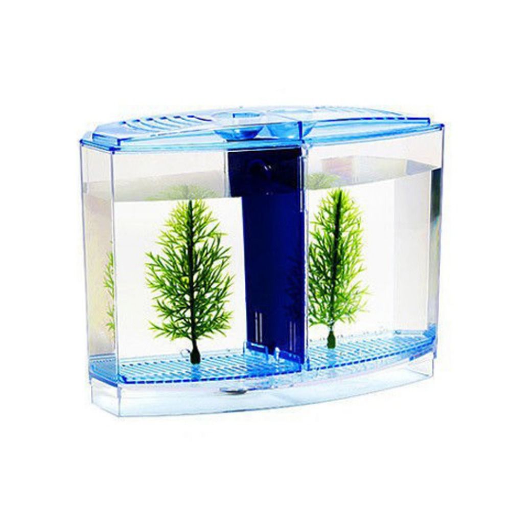 حوض أسماك بيتا شفاف ، حوض أسما - مراجعة Betta Fish Tank وسعره