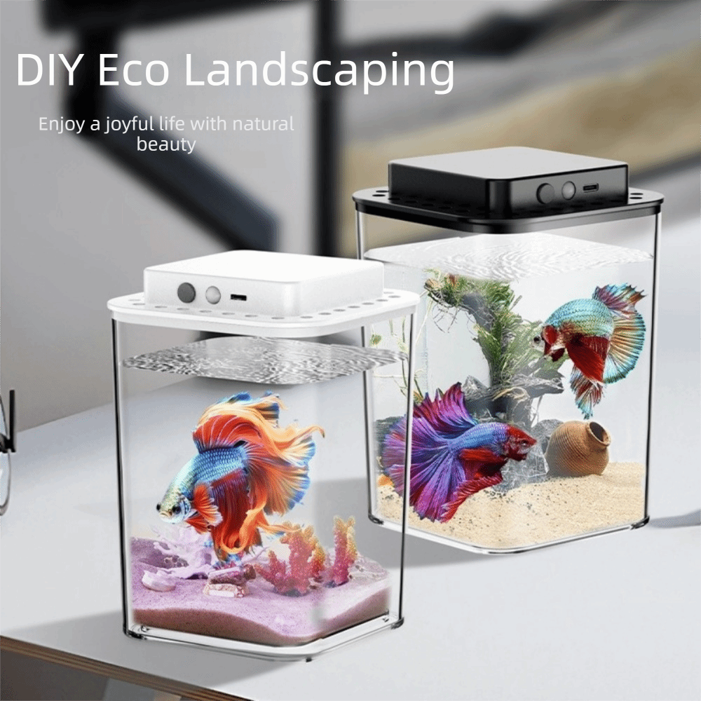 حوض سمك بيتا شفاف مع إضاءة LED - مراجعة Betta Fish Tank وسعره
