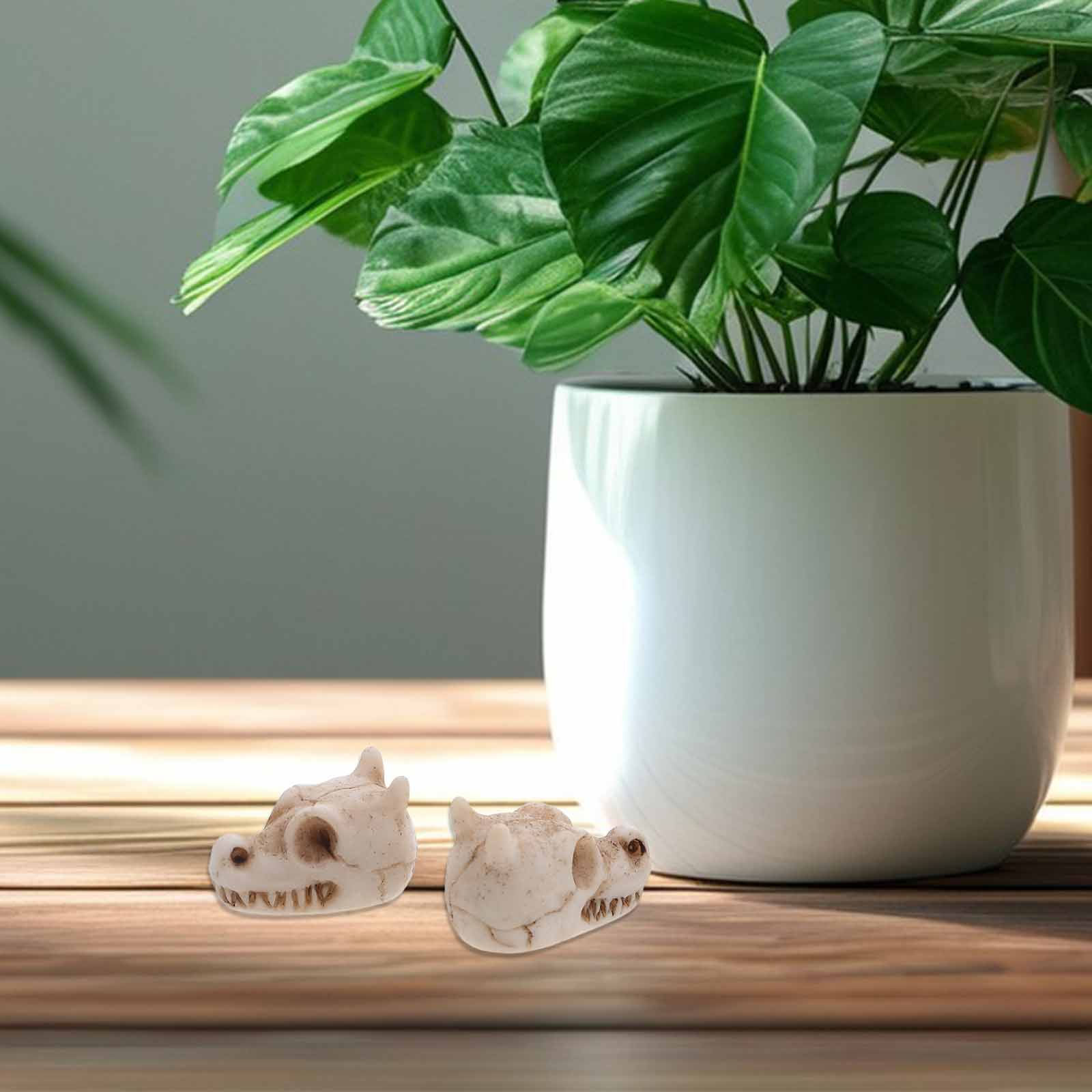 20 قطعة من جماجم التنين الصغير - مراجعة Aquarium Decor وسعره