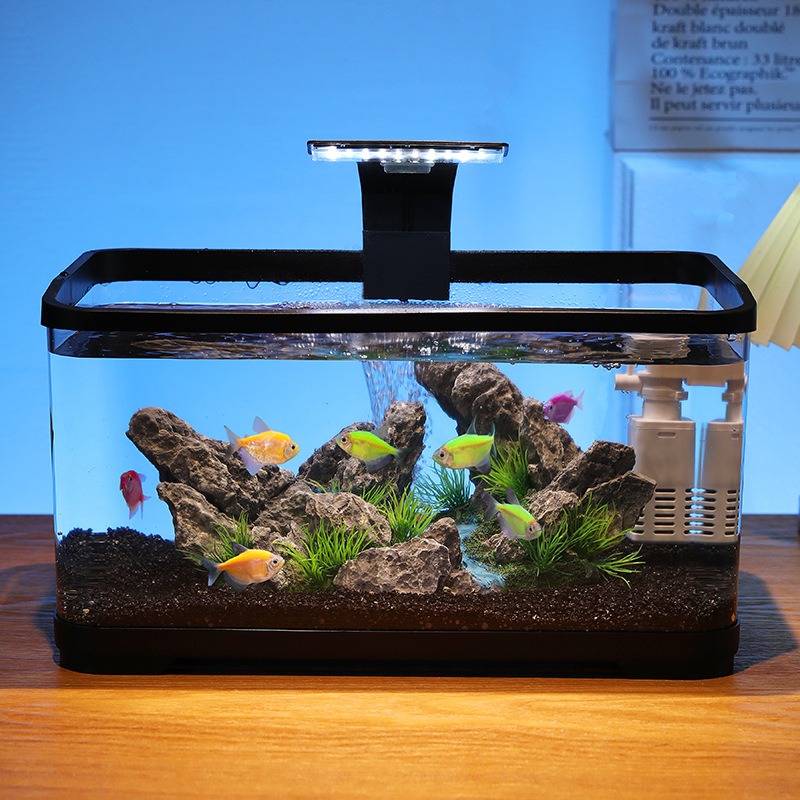 حوض أسماك مكتبي مع فلتر دوران، - مراجعة Fish Aquarium Home وسعره