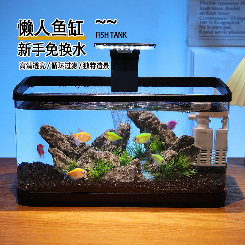 حوض أسماك مكتبي مع فلتر دوران، - مراجعة Fish Aquarium Home وسعره