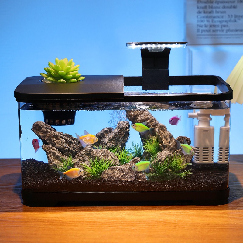 حوض أسماك مكتبي مع فلتر دوران، - مراجعة Fish Aquarium Home وسعره