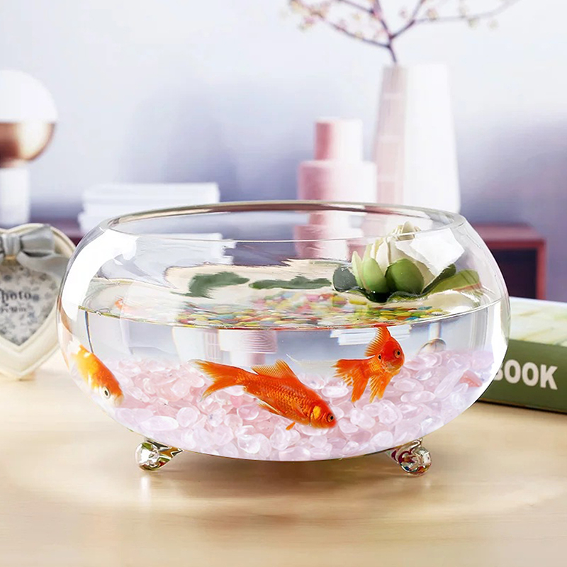 أحجار حصى كريستالية لديكور حوض - مراجعة Aquarium Decor وسعره