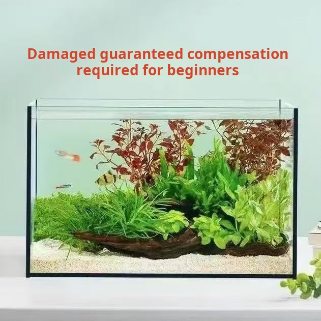 حوض سمك زجاجي كبير مستطيل الشك - مراجعة Aquarium Fish Keeping وسعره