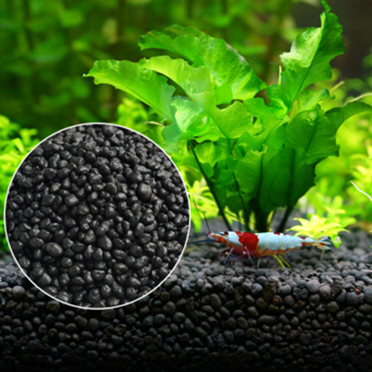 نباتات أحواض السمك ، التربة ،  - مراجعة Fish Tank Gravel وسعره