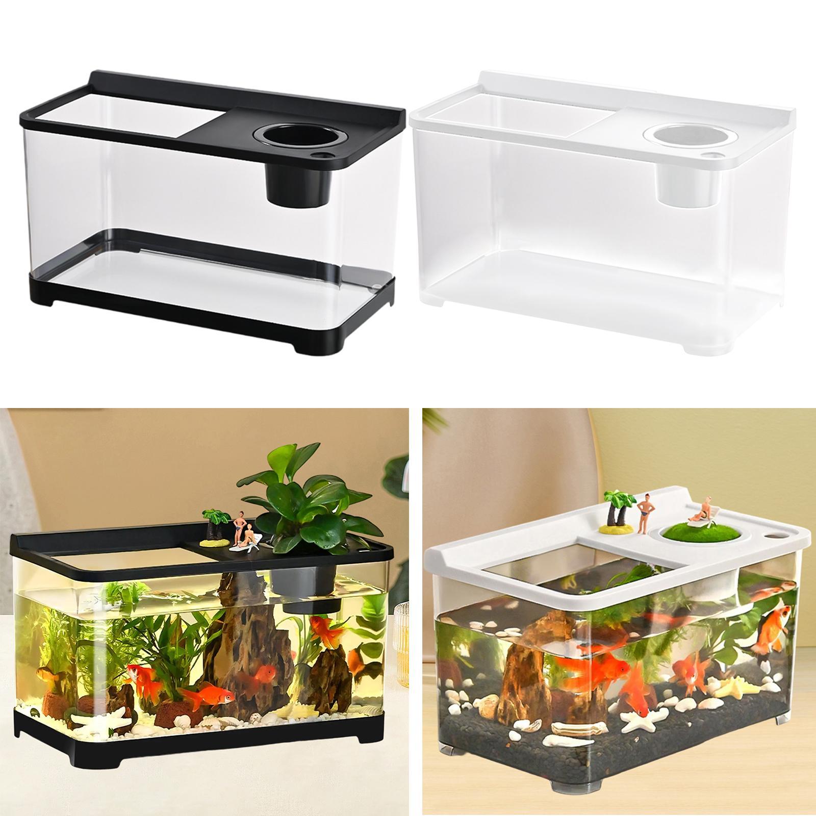 بيتا خزان الأسماك 34x21x20 سنت - مراجعة Betta Fish Tank وسعره